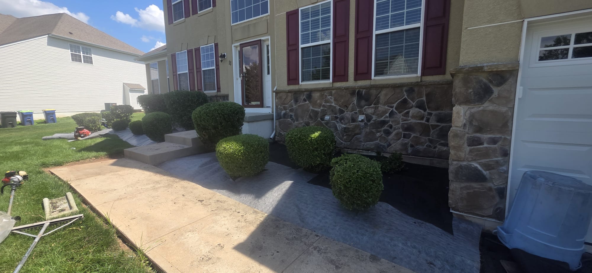 Landscape fabric laid around trimmed boxwoods along a walkway in Hillsborough, NJ before mulch