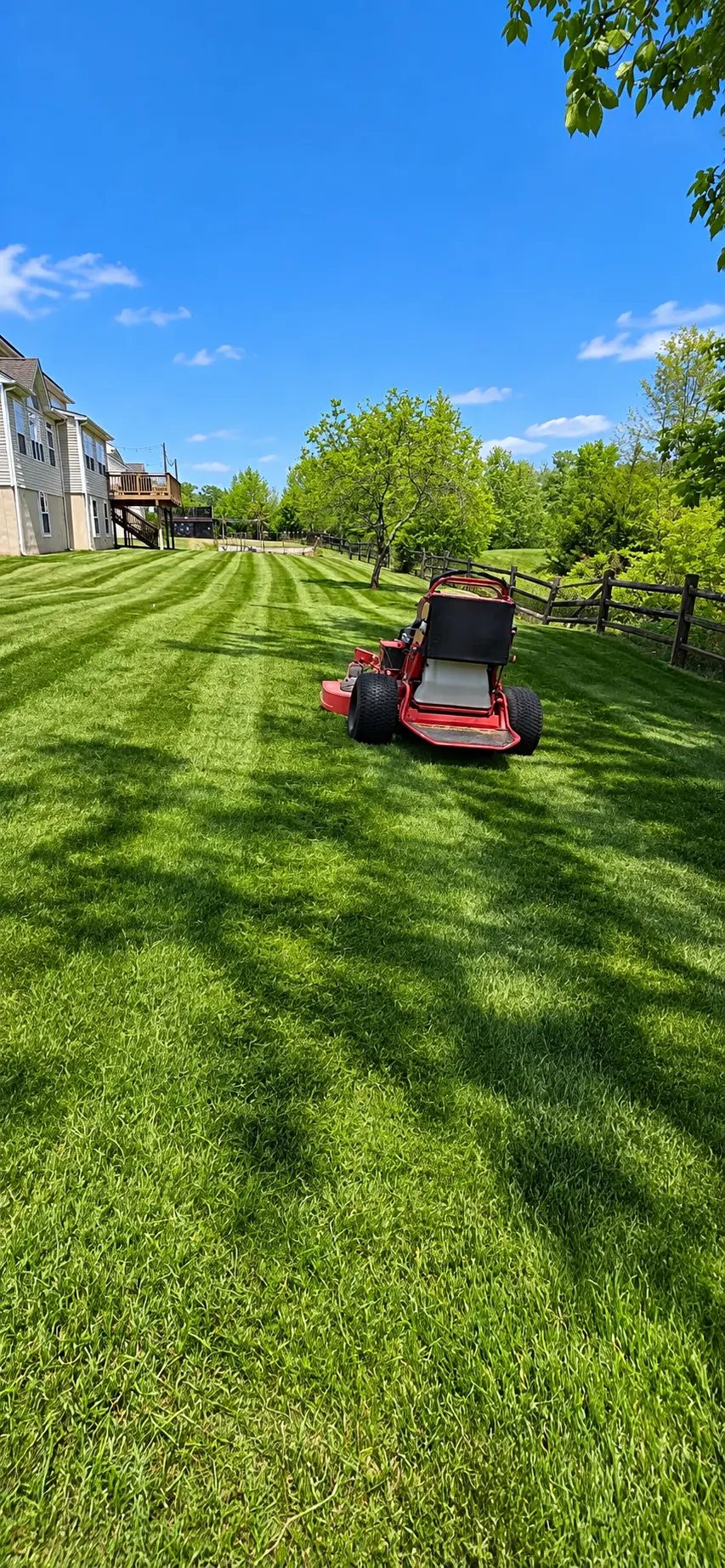 Walk behind mower on a striped sloped backyard lawn under a blue sky
