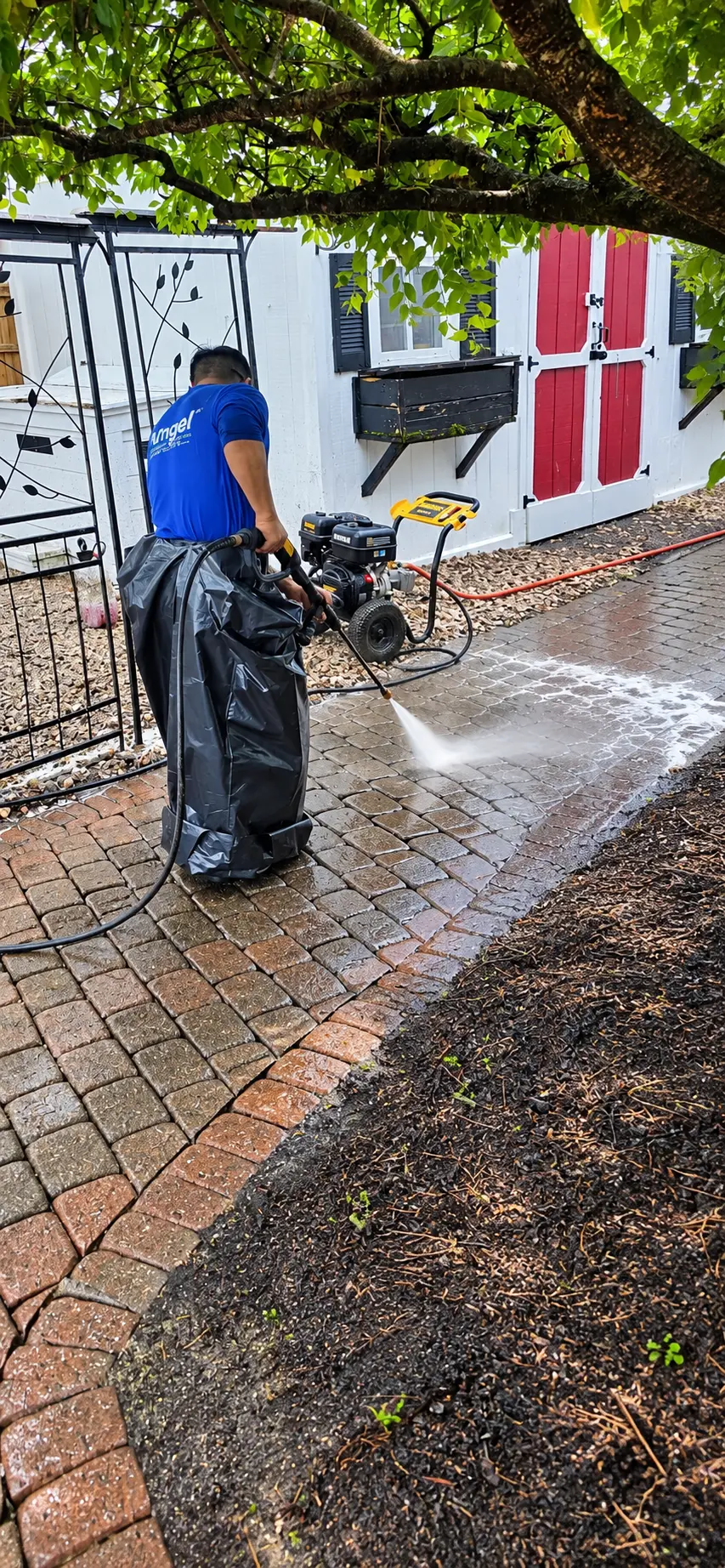 Power washing a paver walkway clean beside a white garden shed